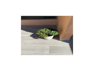 Ferienhaus Punta Prima Umgebung 34