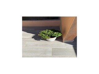 Holiday house Punta Prima Environment 35