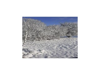 Holiday house Espédaillac Outdoor Recording 5