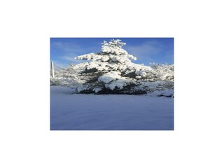 Casa de vacaciones Espédaillac Grabación al aire libre 14