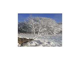 Holiday house Espédaillac Outdoor Recording 6