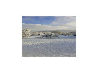 Ferienhaus Espédaillac Außenaufnahme 4