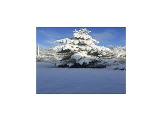 Vakantiehuis Espédaillac Buitenaudio-opname 5