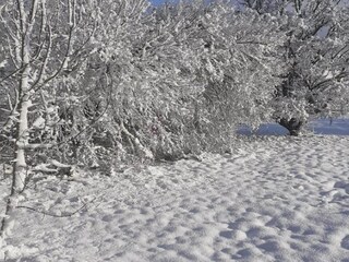 Ferienhaus Espédaillac Umgebung 26