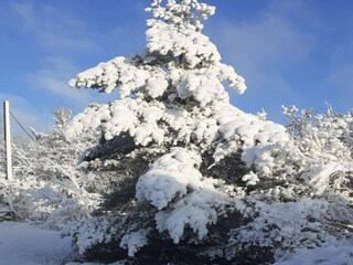 Ferienhaus Espédaillac Umgebung 28
