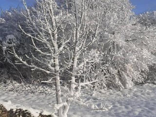 Ferienhaus Espédaillac Umgebung 27