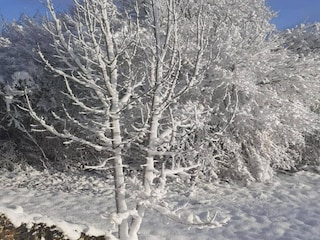 Ferienhaus Espédaillac Umgebung 28