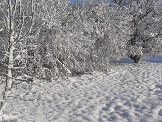 Holiday house Espédaillac Environment 26