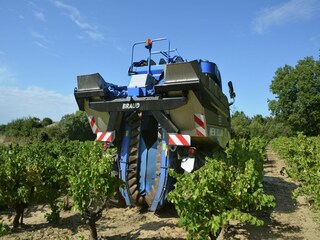 Holiday house Saint-Siffret Environment 37