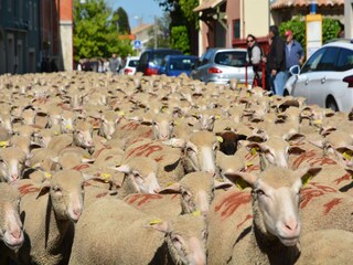 Casa per le vacanze Saint-Siffret Ambiente 36