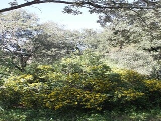 Vakantiehuis Saint-Siffret Omgeving 40