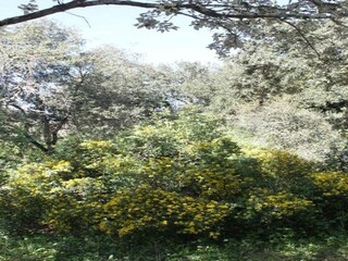 Holiday house Saint-Siffret Environment 40