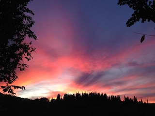 Apartment Mantignana Umgebung 36