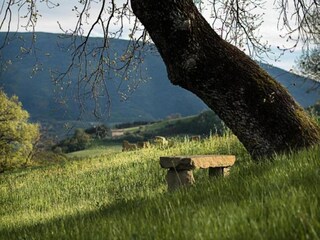 Appartamento Mantignana Ambiente 23