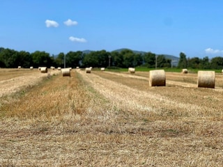 Apartment Mantignana Umgebung 31