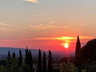 Appartement Mantignana Omgeving 35