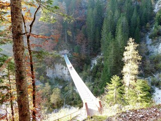 Casa de vacaciones Transacqua Entorno 32