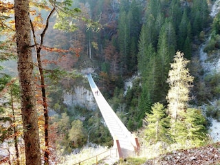 Ferienhaus Transacqua Umgebung 28