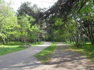 Apartamento Sopot Entorno 19