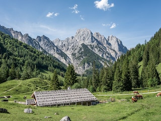 Wanderungen zu Hütten und Almen