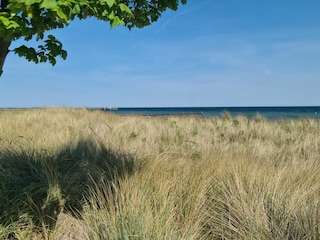 Promenade