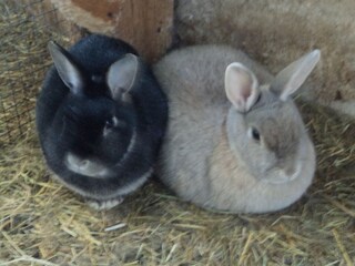 unser Schnuffi mit Freund Paulchen