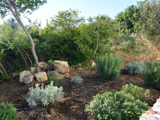 Villa Budoni Registrazione all'aperto 12