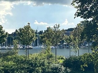 Blick auf die Schlei