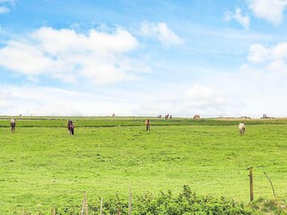 Maison de vacances Løkken  2