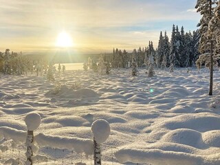 Vakantiehuis Welt  7