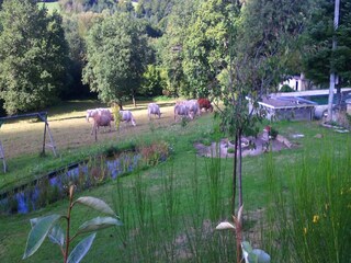 Maison de vacances Le Quartier Environnement 28