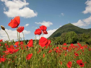 Holiday house Le Quartier Environment 24