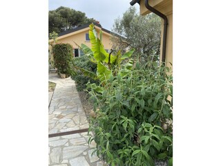 Appartamento per vacanze Cipressa Registrazione all'aperto 11