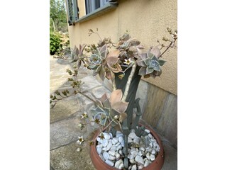 Appartamento per vacanze Cipressa Registrazione all'aperto 13