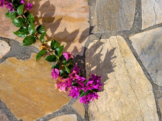 Appartamento per vacanze Cipressa Ambiente 33