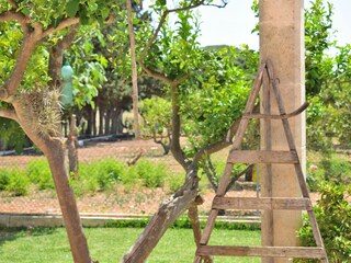 Villa Muro Outdoor Recording 19