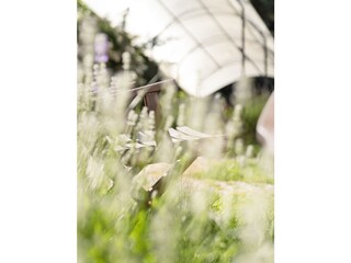 Appartamento Neustift im Stubaital Registrazione all'aperto 11