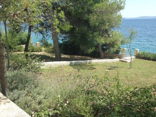View from the garden