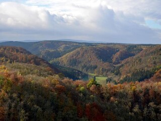 Vakantiehuis Friedrichsbrunn Omgeving 27