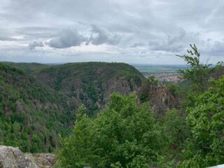 Casa per le vacanze Friedrichsbrunn Ambiente 32