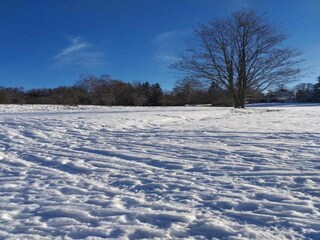 Ferienhaus Friedrichsbrunn Umgebung 28