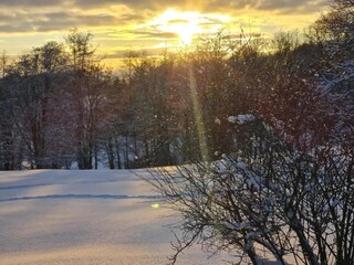 Casa per le vacanze Friedrichsbrunn Ambiente 35