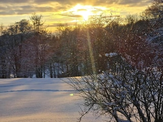 Holiday house Friedrichsbrunn Environment 35