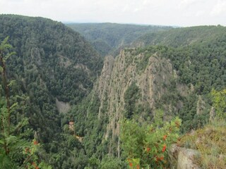 Casa per le vacanze Friedrichsbrunn Ambiente 37