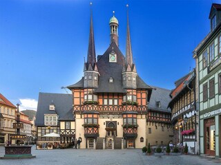 Appartement Wernigerode Environnement 13