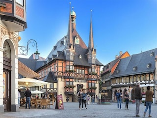 Appartement Wernigerode  13