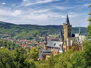 Appartement Wernigerode  4