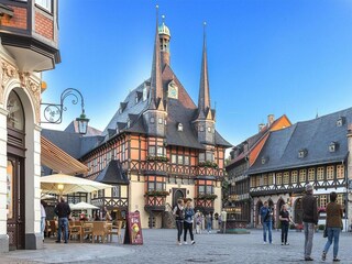 Appartement Wernigerode  13