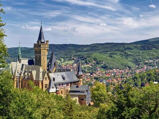 Apartamento Wernigerode Entorno 7