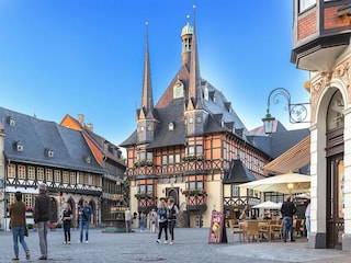 Apartment Wernigerode Environment 12